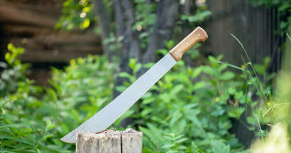 Australians ordered to surrender machetes or go to prison