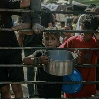 Soaring food prices prove the Gaza famine is real - and will affect generations to come