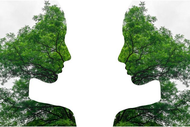 Fiction and memoirs were covering health way before the COVID-19 pandemic