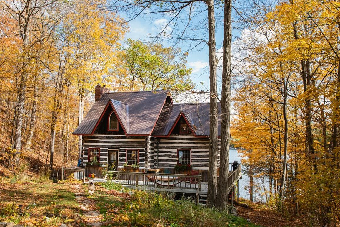 A longevity expert says he lowered his biological age by moving his entire family to the forest