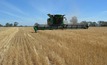 Funding boost for grain