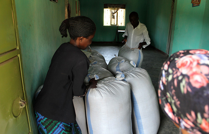  armers store readyforsale sacks of dry sunflower seeds at vukula village amutumba district 