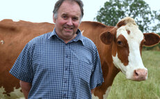 Dairy Shorthorn judge set to make Dairy Show debut