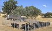 Live exports thriving: Hartsuyker