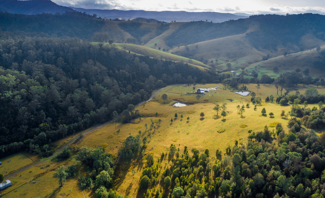 Growth in Australian farmland values has slowed. 