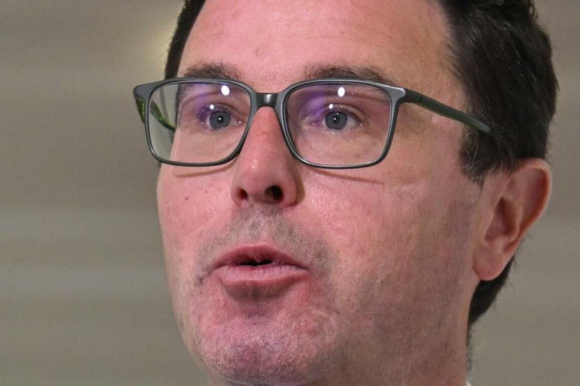 Nationals leader David Littleproud promises Coalition government would bring down power prices