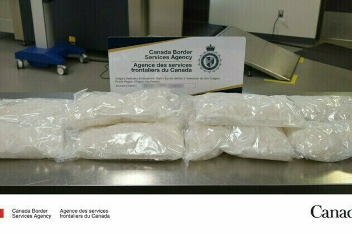 Winnipeg resident charged with attempted drug exportation