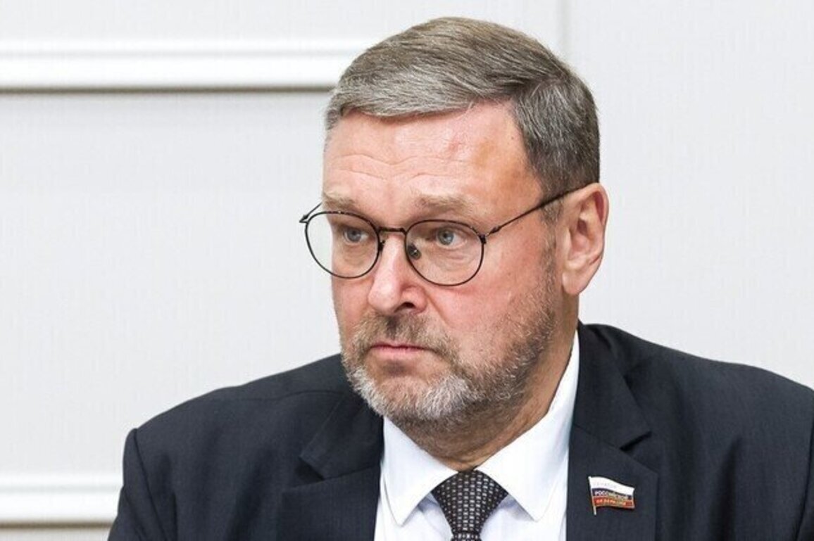 German MPs urged to probe alleged Ukraine nuke plot
