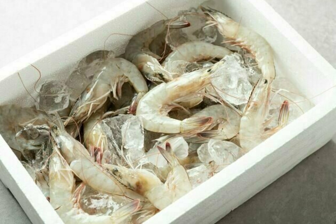 Udang ekspor Indonesia terkontaminasi zat radioaktif: Pemerintah tidak boleh lengah