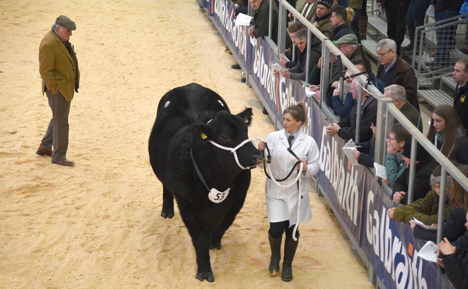 Aberdeen Angus bulls reached a high of 20,000gns twice at the first round of this year's Stirling bull sales event. 