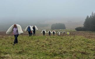 Locally sourced 'wool logs' help peatland restoration in Antrim hills 