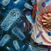 Salmonella cases are at ten-year high in England - here's what you can do to keep yourself safe