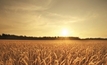 Dry stretch important for NSW harvest