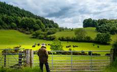 Mental Health Awareness Week - 2026 round-up: Despite the struggles, glimmers of hope for farmers