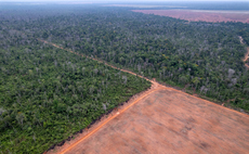 Amazon Soy Moratorium: As agri-giants quit, is the anti-deforestation pact at risk of splintering?