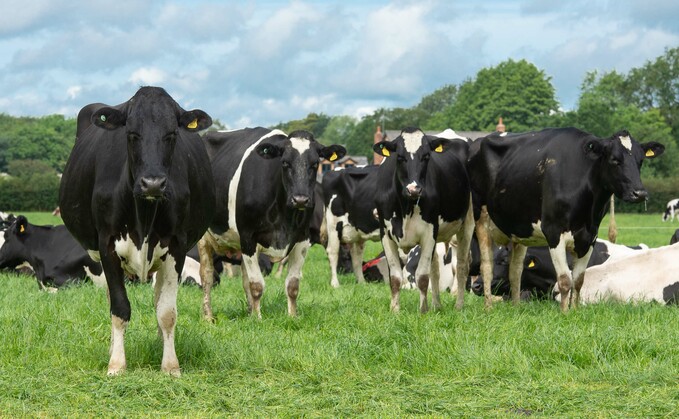 Partner Insight: Is Heat Stress in UK Dairy Cows About Health and Welfare Over Production?