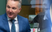 Energy minister confident in Aus bid for COP31