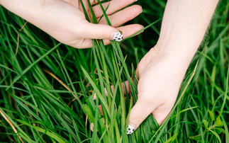 Regular audits to reduce dairy farm carbon footprints