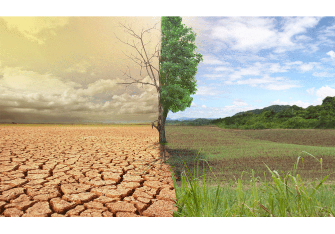 Climate forecasts may be flawed, says study Climate forecasts may be flawed, says study