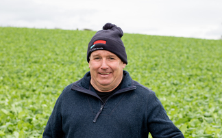 Brassicas for sheep: Powys farmer reveals costs, yields and grazing tips