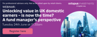 Unlocking value in UK domestic earners: Is now the time? 