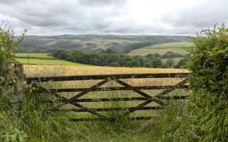 How revisiting past practices allowed a mixed farm to be financially resilient while boosting biodiversity