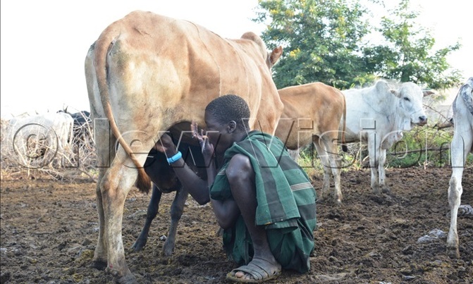 News in pictures - July 13 News in pictures - July 13