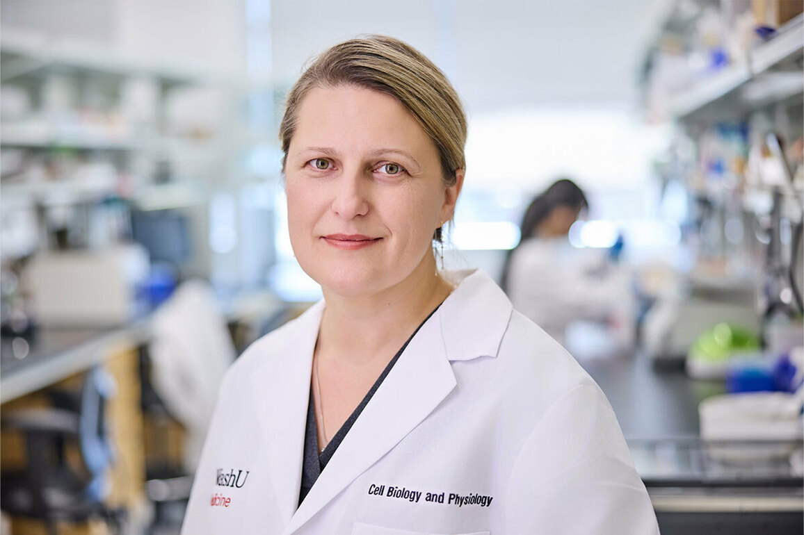 Temperature-controlled switch activates sperm, is key to fertility - The Source - WashU