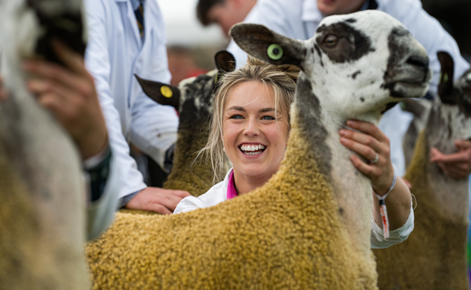 Showing in sheep rings at this year's Royal Highland