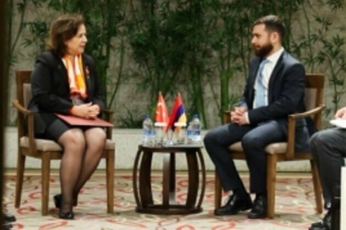 Armenian, Turkish deputy FMs discuss normalization