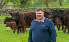 Romesbeoch ready to compete in Highland Show Galloway section 