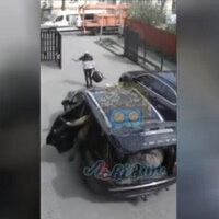 Draft officers run over mother of forcibly mobilized Ukrainian man 
