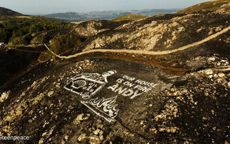 Rosebank: More than 200 musicians join calls for PM to block new oil drilling project