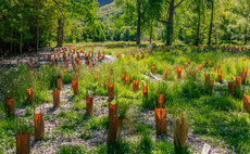 'Tremendous potential': How cities, states, and regions are harnessing nature to boost climate resilience