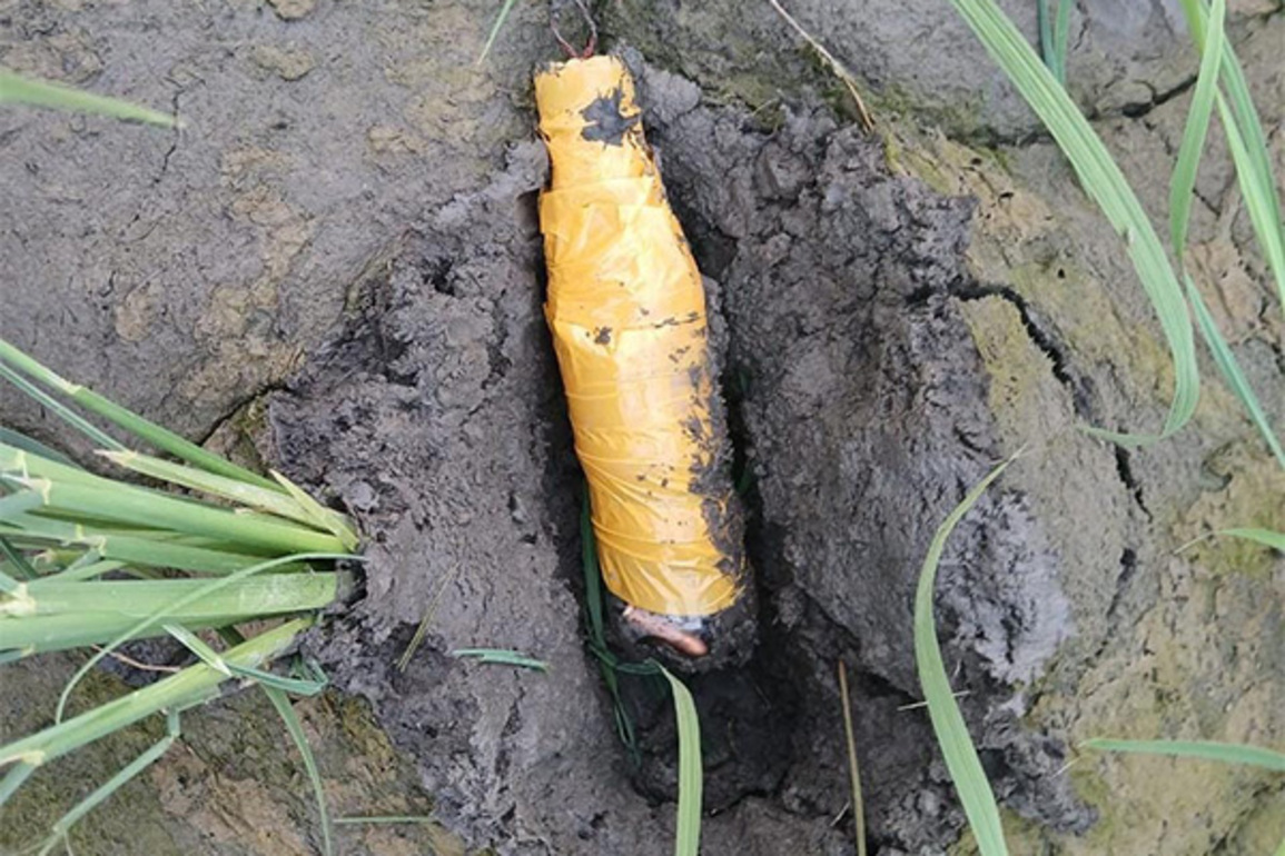 BSF recovers pistol parts, live rounds in Punjab's Tarn Taran