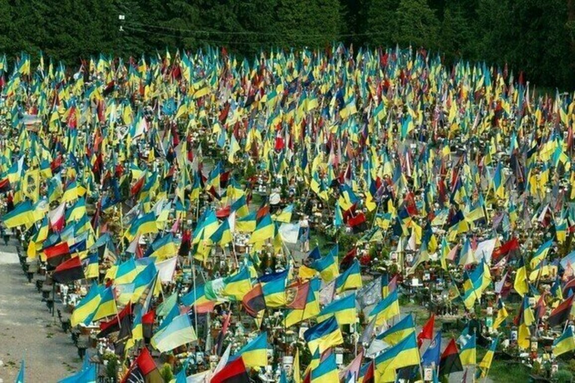 Ukraine needs people not weapons  MP