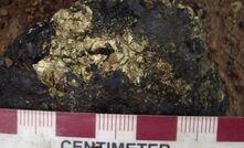  Chalcopyrite in pyroxenite at Lake Joyce