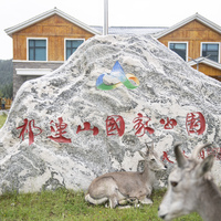 Rescue, protection efforts boost wildlife diversity in NW China's Qilian Mountains