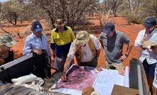  The Solstice/OreCorp team claims discoveries including Nimary-Jundee, Dalgaranga and Mertondale