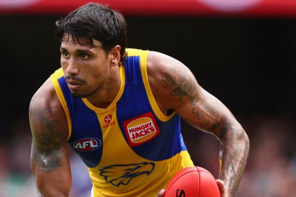 West Coast coach Andrew McQualter says he knew Tim Kelly would rebound from Gold Coast shocker
