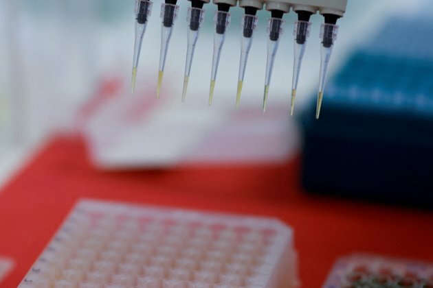 Brazil Declares Health Emergency Amid Avian Flu Cases in Wild Birds