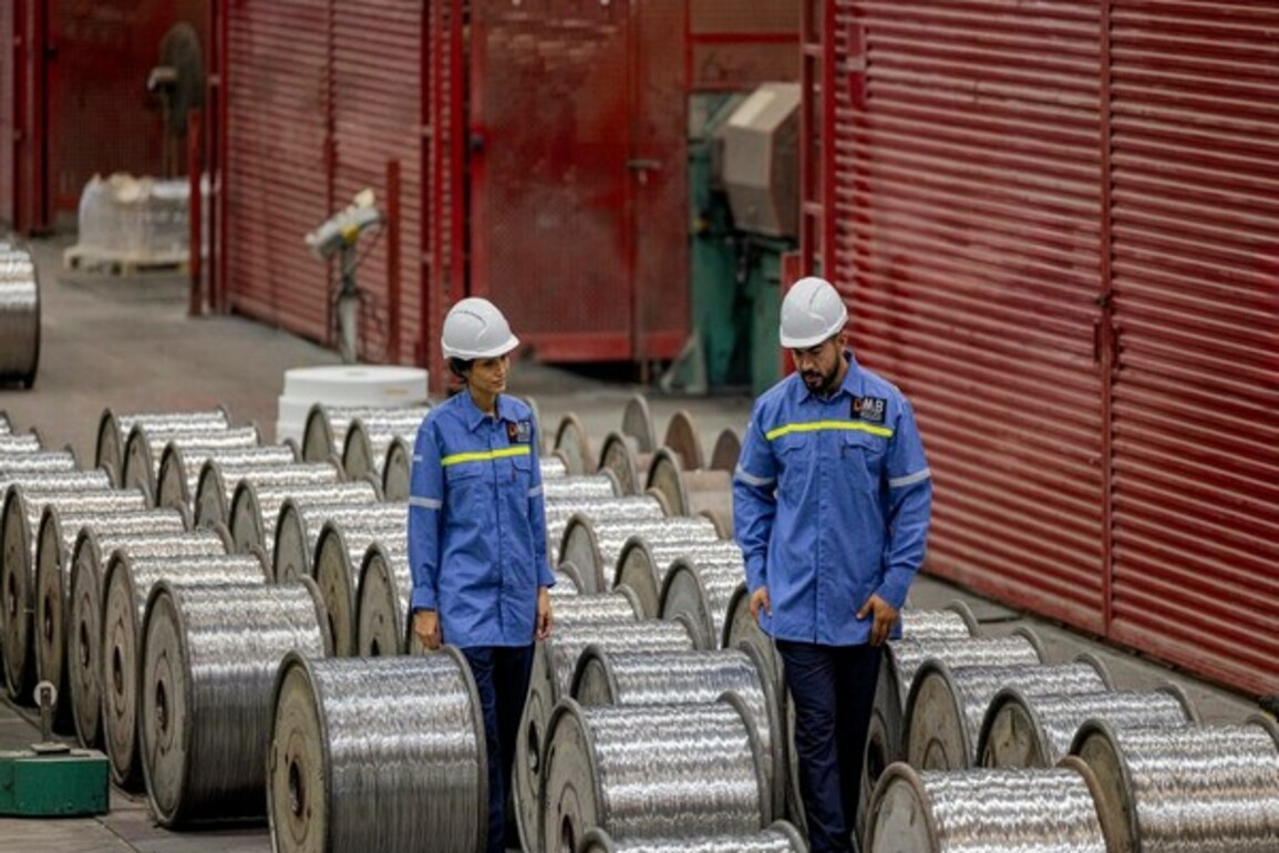 UAE-based Ducab Metals Business aims to double export to India in 2025 under CEPA