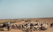 A delegation from Morocco, visiting WA last week, reiterated the country's urgent need for live sheep from Australia due to drought and supply challenges. 