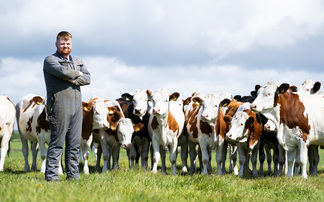 Monbeliarades are a good fit for organic dairy enterprise