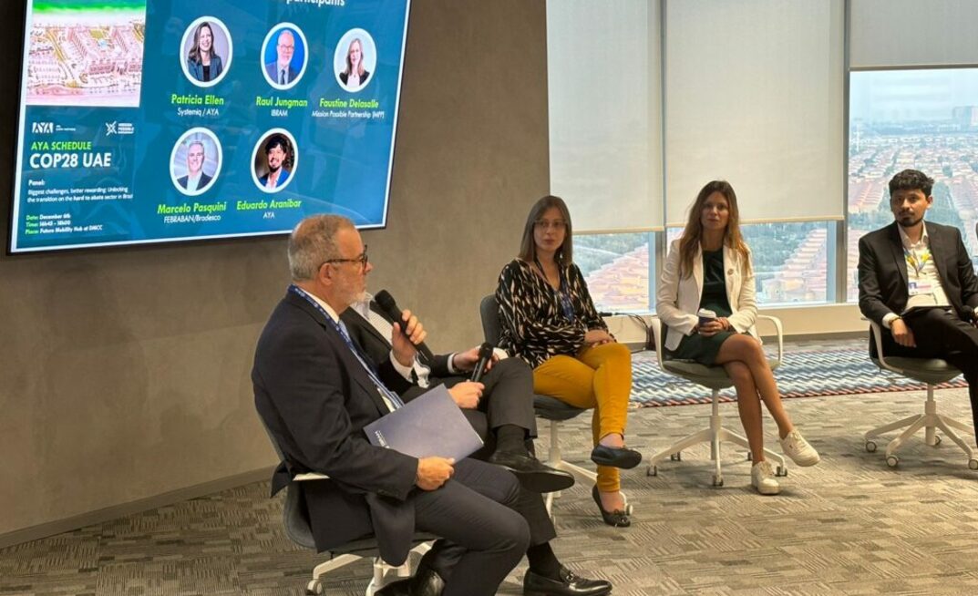 Presidente do Ibram, Raul Jungmann, em painel na COP28/Divulgação