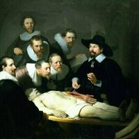 How male anatomy became the default in medicine - and why that's a problem
