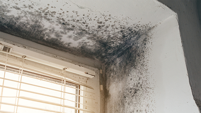 Travis Perkins warns social landlords to be proactive with mould complaints