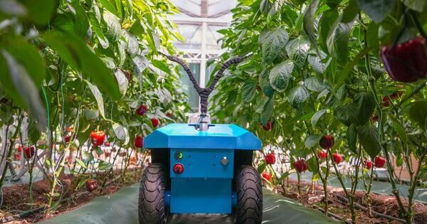 China's thriving smart agriculture goes global