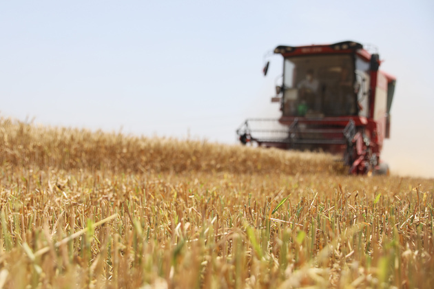 #CHINA-HENAN-WHEAT HARVEST (CN)