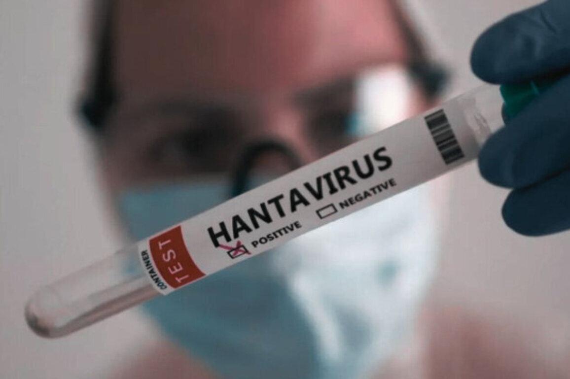 Hantavirus Alert: Greek Traveler Placed in Isolation After Evacuation
